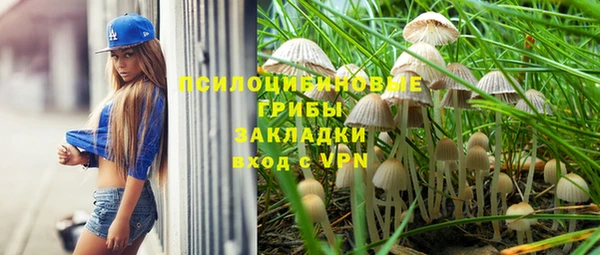 синтетический гашиш Алексин