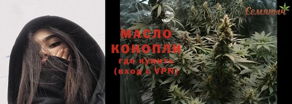 дживик Абинск